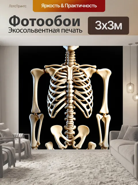 Фотообои фотография 3d модели скелета с подробным изображением грудной клетки
