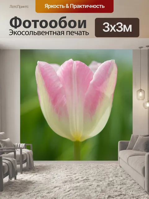 Фотообои Розовый