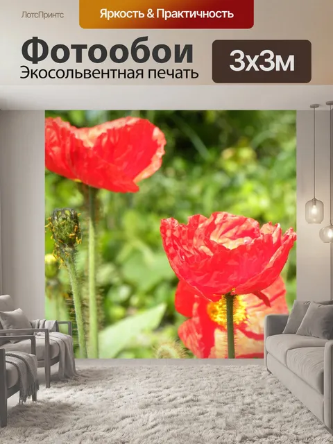 Фотообои Маки