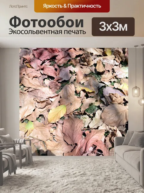 Фотообои Сухие опавшие листья