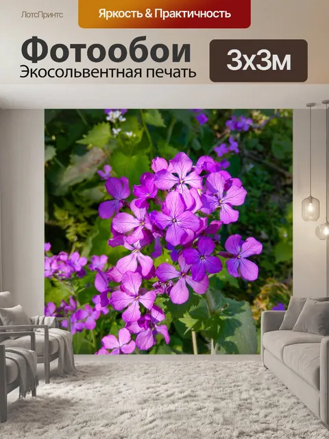 Фотообои Годовой серебряный лист