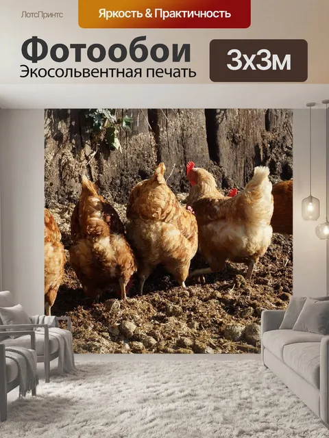 Фотообои Курица