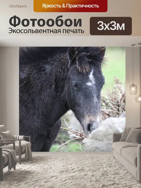 Фотообои Лошадь