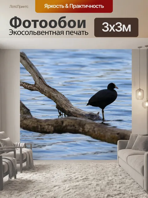 Фотообои Природа