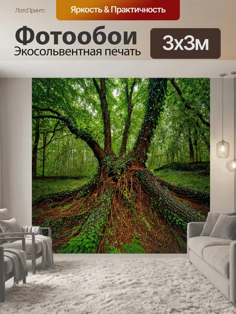 Фотообои лес с вырванными корнями и покрытыми лианами деревьями
