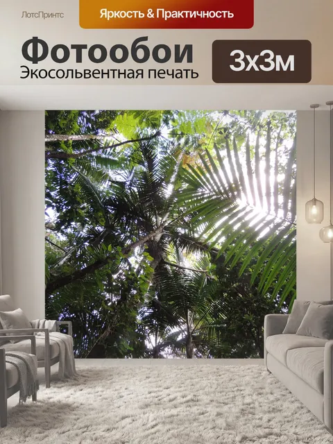 Фотообои дождь полог леса