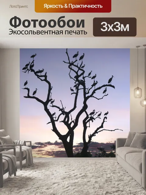 Фотообои Тарангире