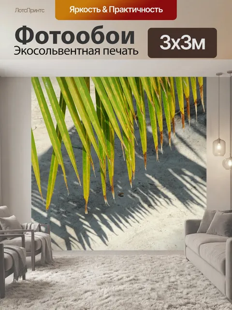 Фотообои Дерево пальмы