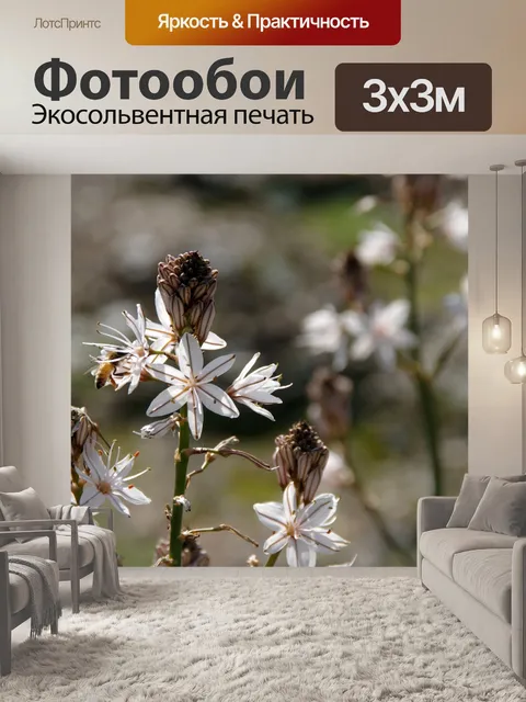 Фотообои Пчелиное опыление белых цветов