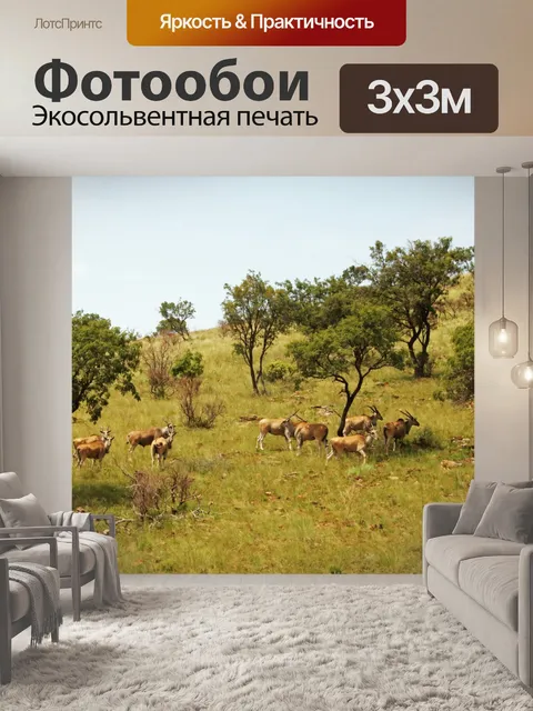 Фотообои группа краев в открытом лесу