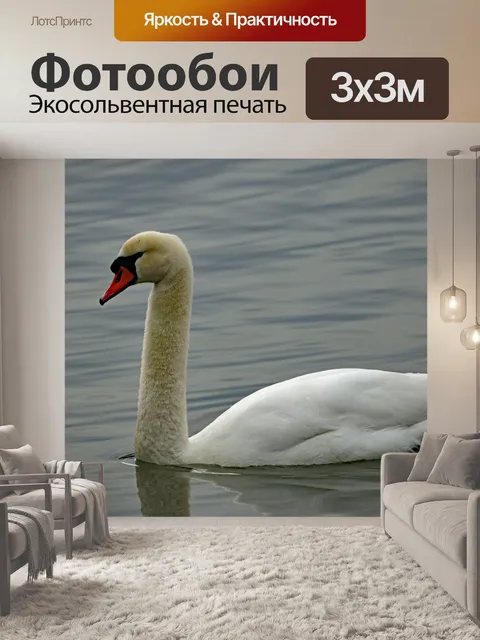 Фотообои Лебедь
