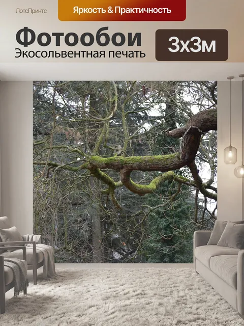 Фотообои Осенняя ветка