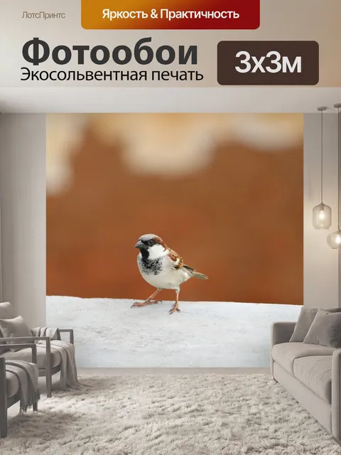 Фотообои Воробей
