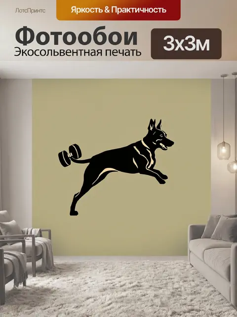 Фотообои минималистичное изображение бельгийской овчарки малинуа