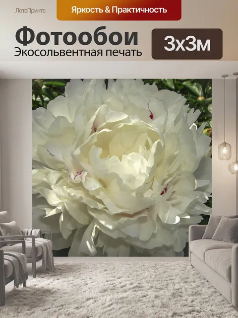 Фотообои Цветок