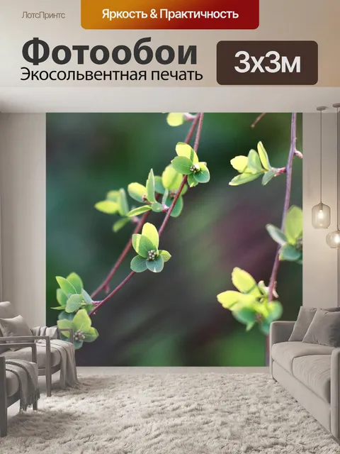 Фотообои Веточка