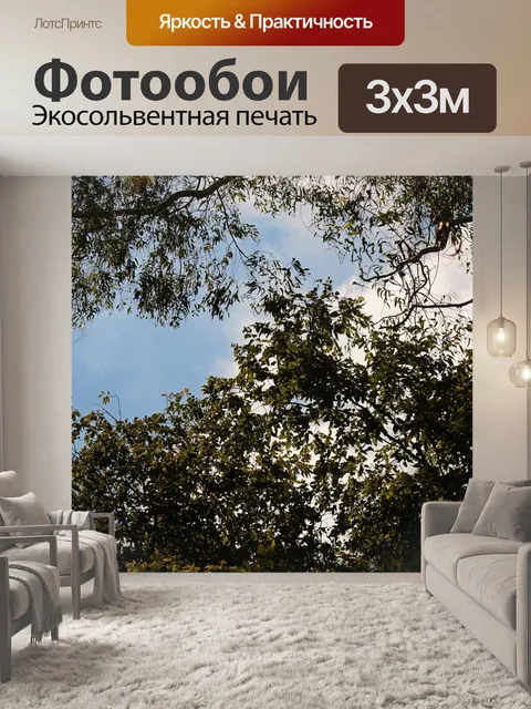 Фотообои листва и листья деревьев