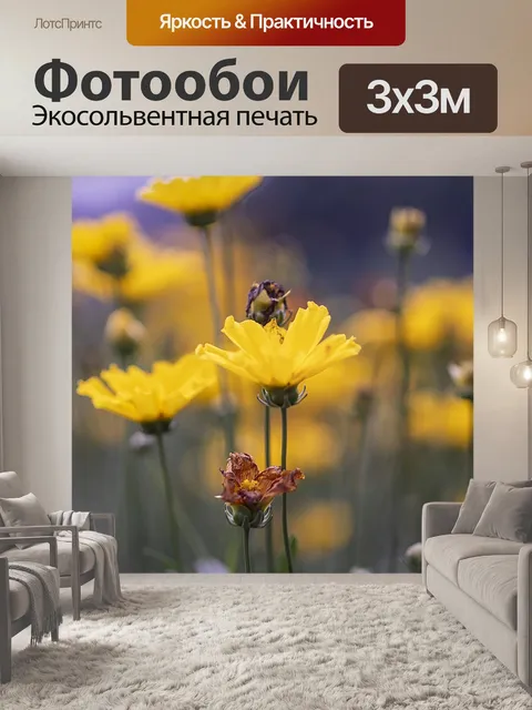 Фотообои Космос