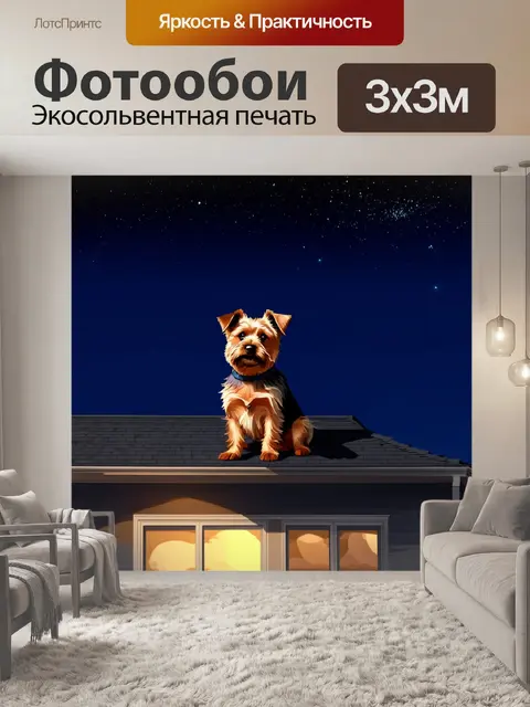 Фотообои керн терьер, который смотрит на звезды ночью, сидя на крыше дома