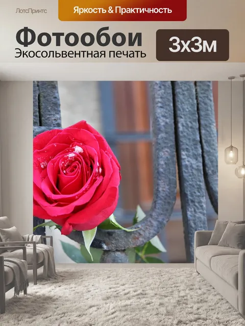 Фотообои Красная роза