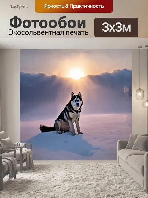 Фотообои на заре, когда солнечные лучи лишь начинают пробиваться сквозь облака, хаски мирно сидит, его контуры слегка…