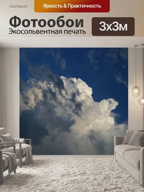 Фотообои белое облако с темными прядями