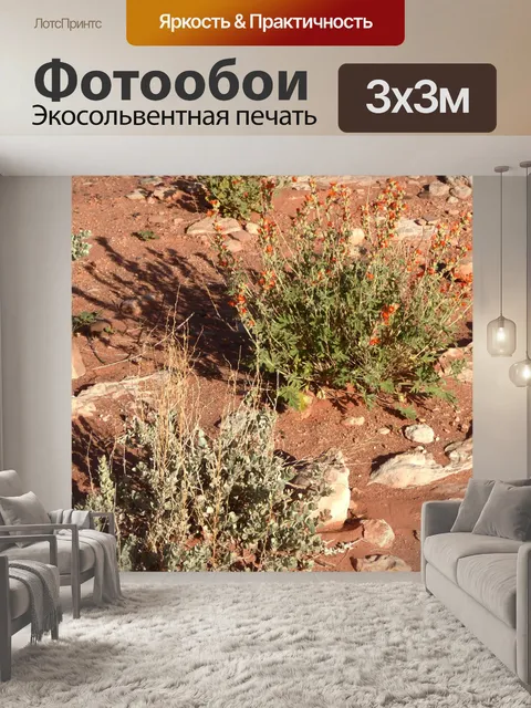 Фотообои Пустынная почва