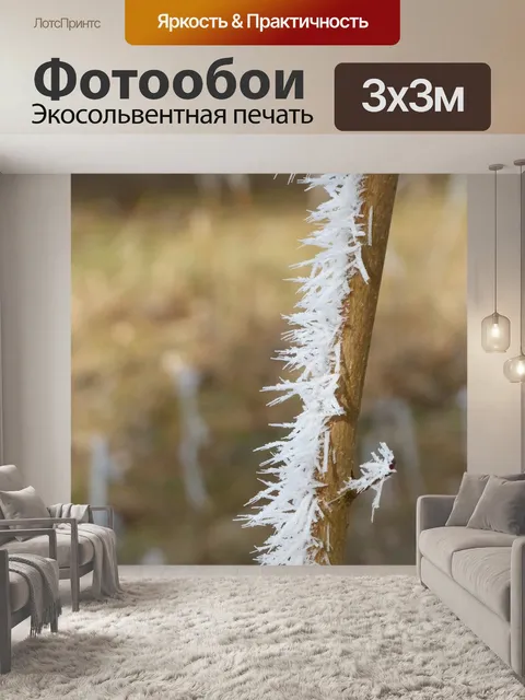 Фотообои Фрост