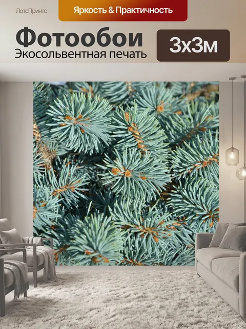 Фотообои Ель