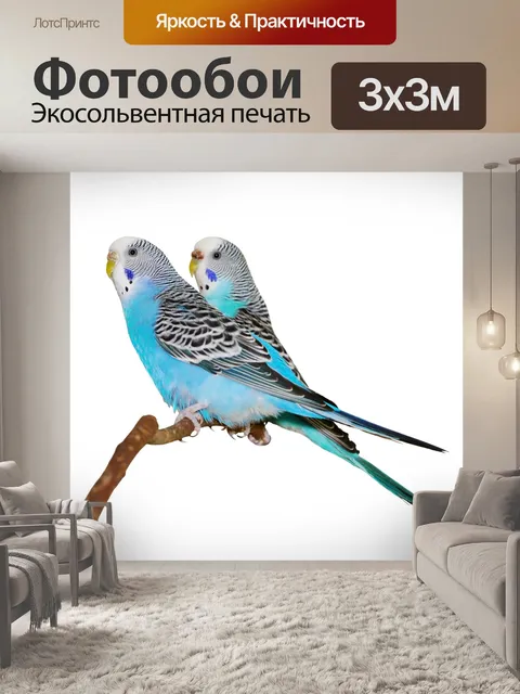 Фотообои Синий
