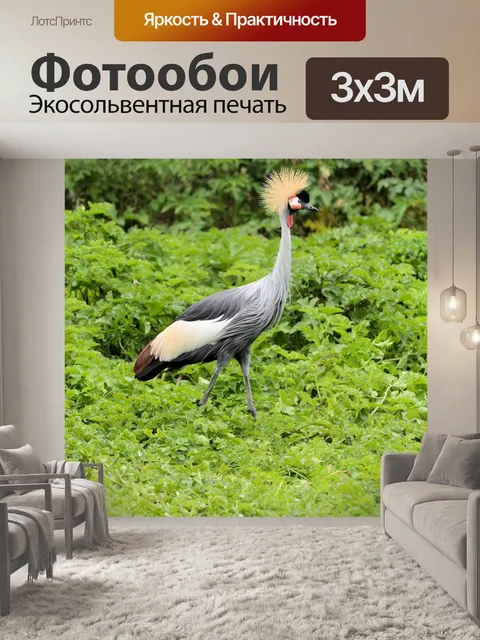 Фотообои Увенчанный кран