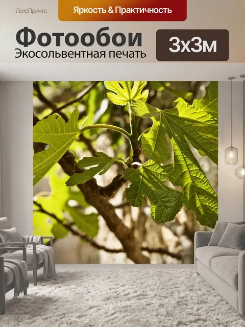Фотообои Фиговый лист