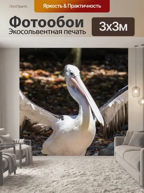 Фотообои Пеликан