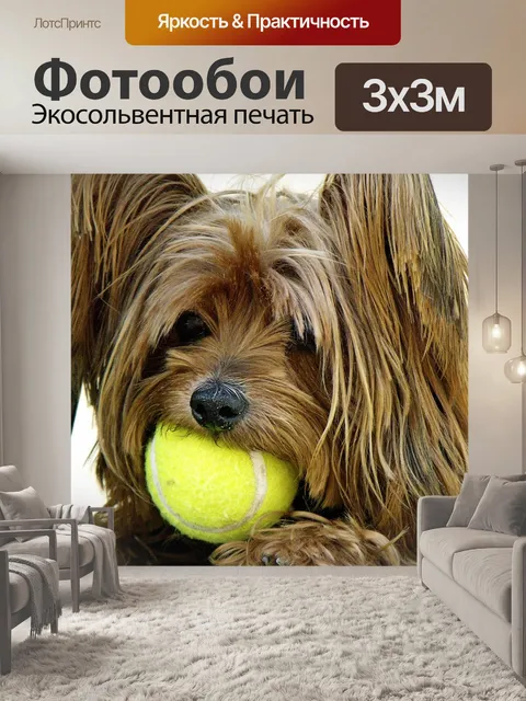 Фотообои Собака