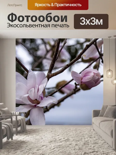 Фотообои Цветы китайской магнолии
