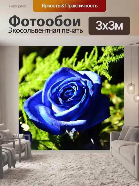 Фотообои Синяя роза