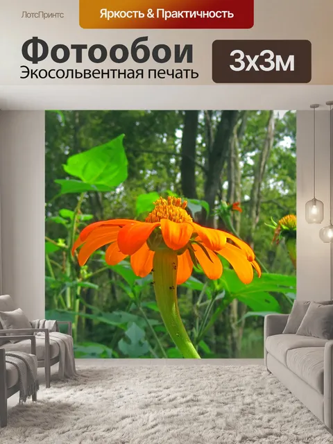 Фотообои Дикий оранжевый цветок конуса