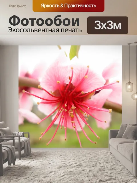 Фотообои Цветок персика диких