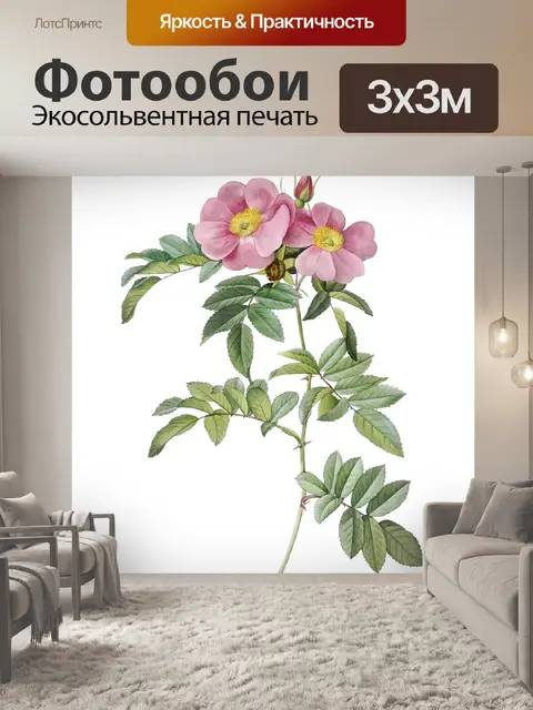 Фотообои Винтажная иллюстрация цветка розы