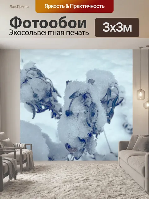 Фотообои Мудрец