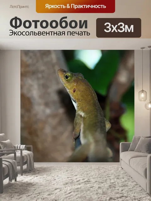 Фотообои Дерево Ящерица
