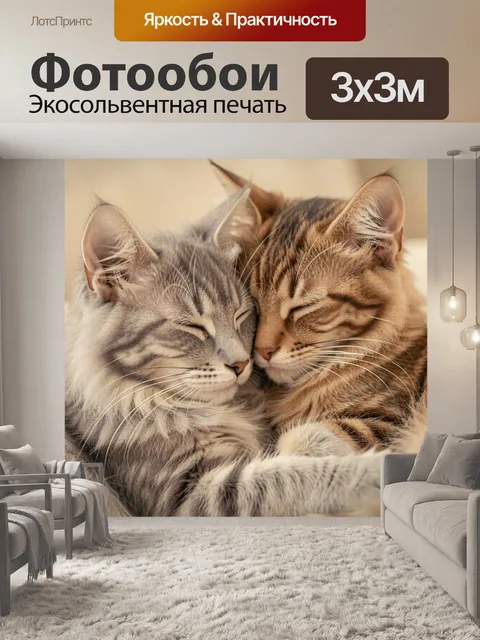 Фотообои Два спящих котёнка крупным планом