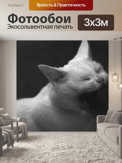 Фотообои Зевать
