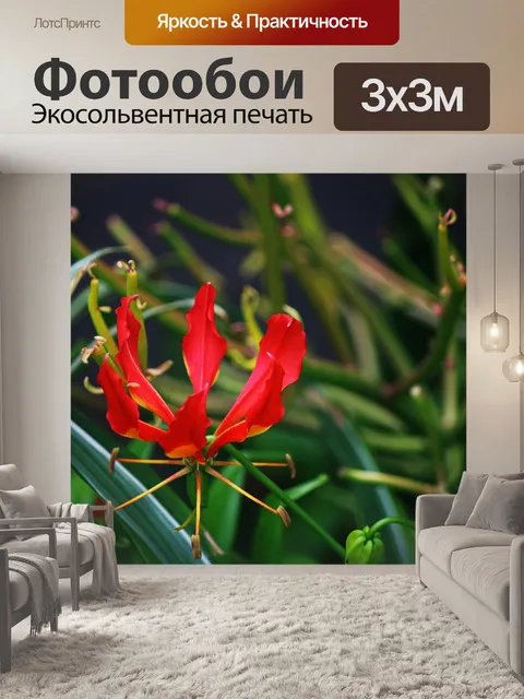 Фотообои красная лилия