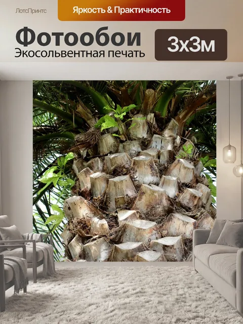 Фотообои Пальма