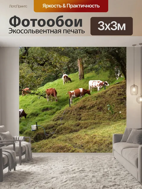Фотообои Луг