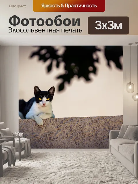 Фотообои Кошка