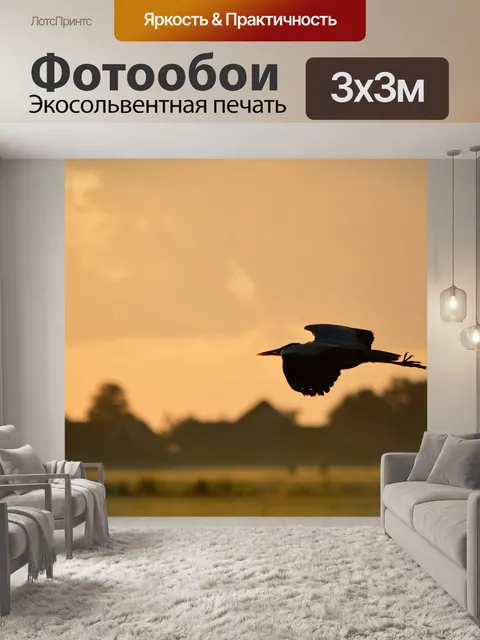 Фотообои Тень
