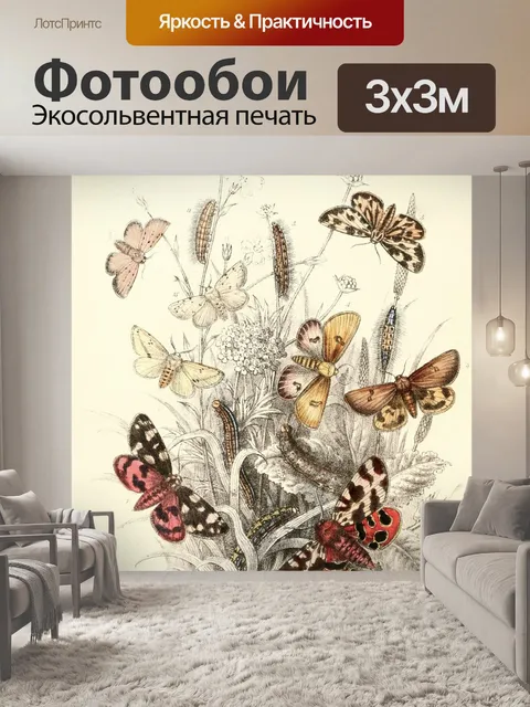 Фотообои Бабочки 06