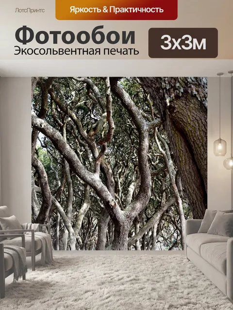 Фотообои Деревья